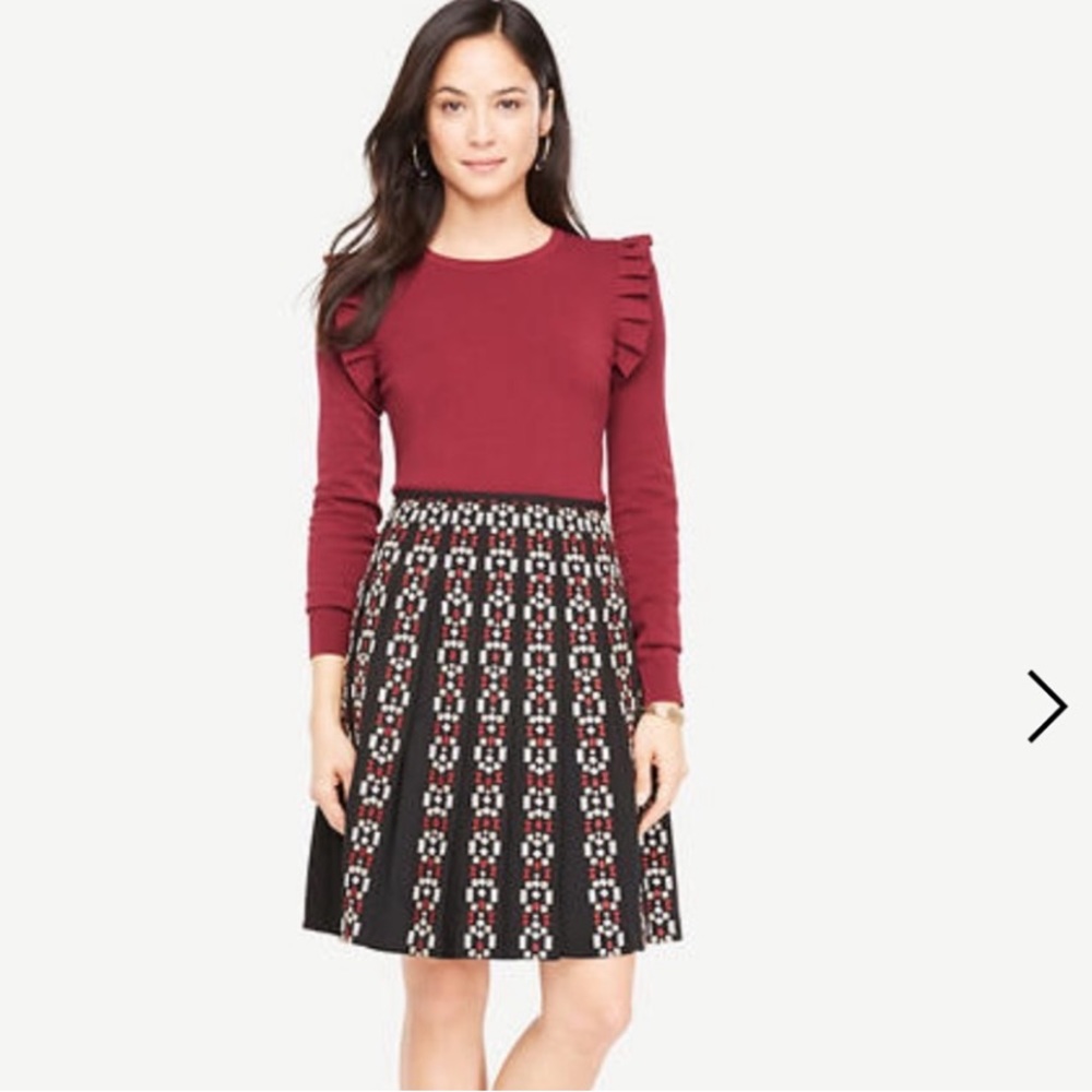 NWT Ann Taylor Embroidered Pleated Skirt Size 4P